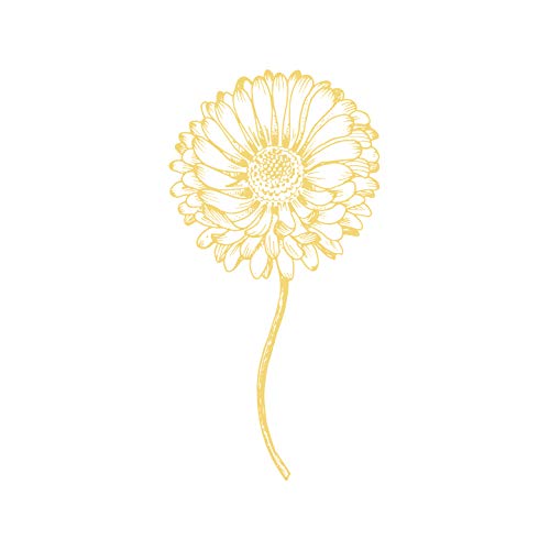 Oil-Free Makeup Remover