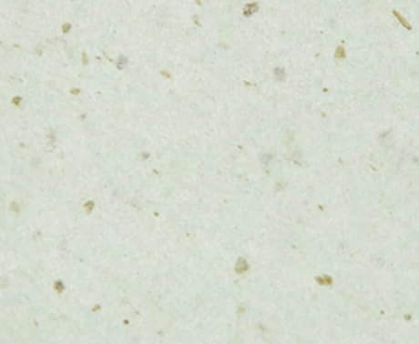 Cinnamoroll's Green Tea Extract Facial Oil Blotting Paper 150 Sheets - Officially Licensed - Packaged in Portable Casing