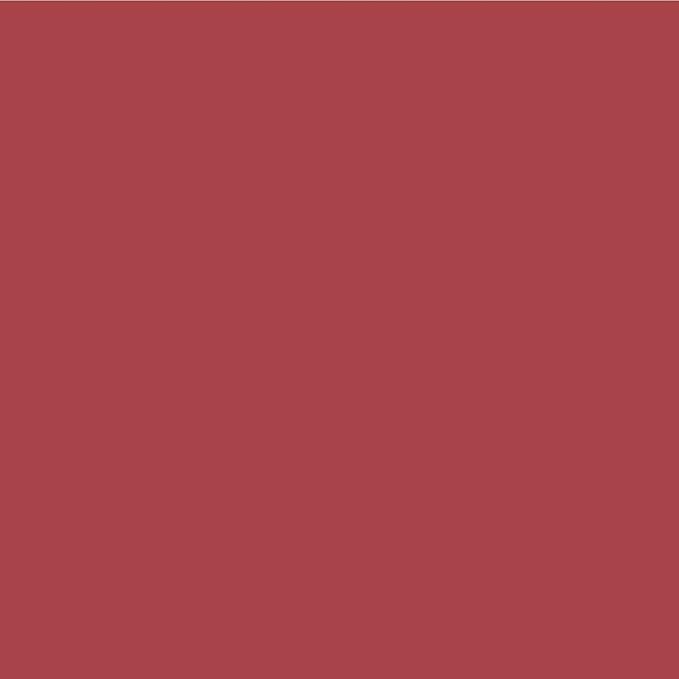 Palladio, Retractable Waterproof Lip Liner High Pigmented and Creamy Color Slim Twist Up Smudge Proof Formula with Long Lasting All Day Wear No Sharpener Required, Raspberry