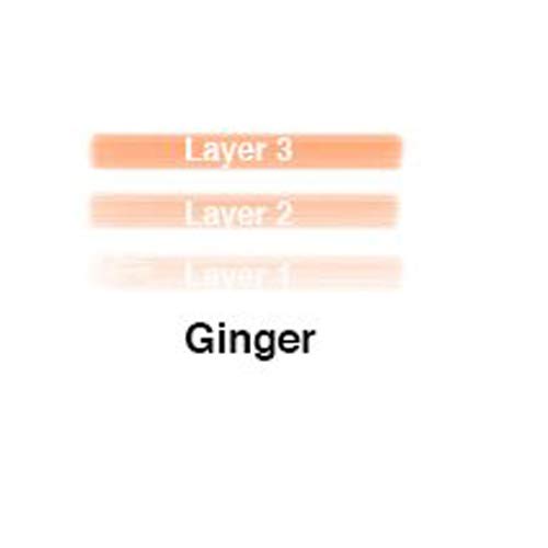 Lip Ink Organic 100% Smearproof Trial Lip Kit, Ginger
