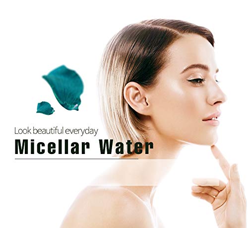 Epielle Micellar Cleansing Water | Makeup Remover for All Skin Types | Gently Cleanses Skin | 8 Fl Oz (1 Pack) | Ideal for Beauty Gifts, Spa Days, Gift Sets | Korean Skincare