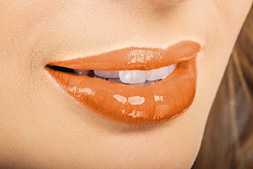 Lip Ink Organic 100% Smearproof Trial Lip Kit, Carnelian Cream