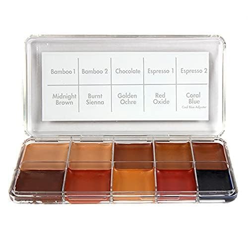 PPI Skin Illustrator Dark Fleshtone Makeup Palette Profession Stage Makeup