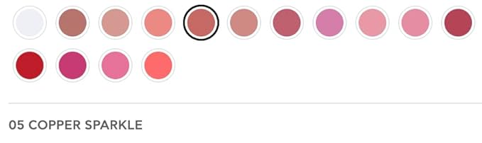 Radiant Professional Lip Glaze (15 Shades) - Ultra-Glossy, Moisturizing & Long-Lasting Hydration - High Shine Finish - Vegan Lip Glaze for Soft, Nourished Lips - Non-Sticky - (05 COPPER SPARKLE)