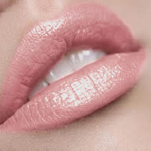 Premium Pink Lip Gloss | Blushing Bride…