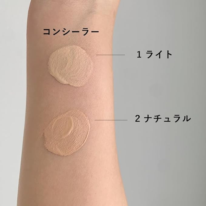 Concealer SPF18/PA++ Chip Type 6g - 1 Light