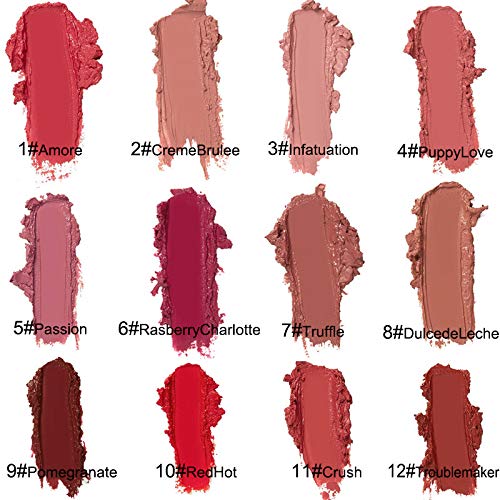 Kayswnag 12 Color Cream Texture Waterproof Lipstick, Lip Gloss Lip Lust Creme Lipgloss Liquid Lipstick,Waterproof Long Lasting Velvet Lip Gloss (12#)
