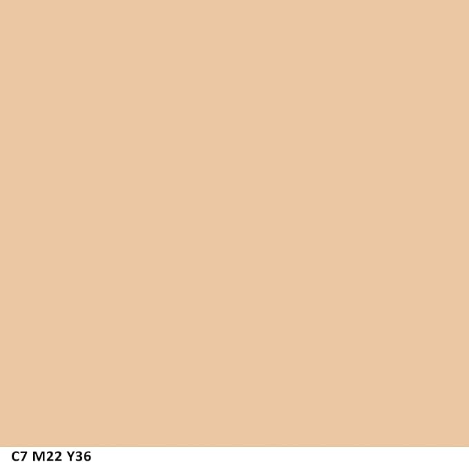 COVERGIRL Clean Matte Pressed Powder Classic Ivory Warm 510 , .35 Ounce (packaging may vary)
