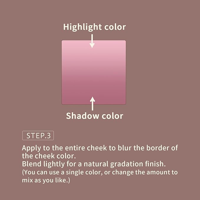 Angel Gradation Blushes 5g Lone Wear Shimmer Millefee Powder Palette for Beauty Cheek