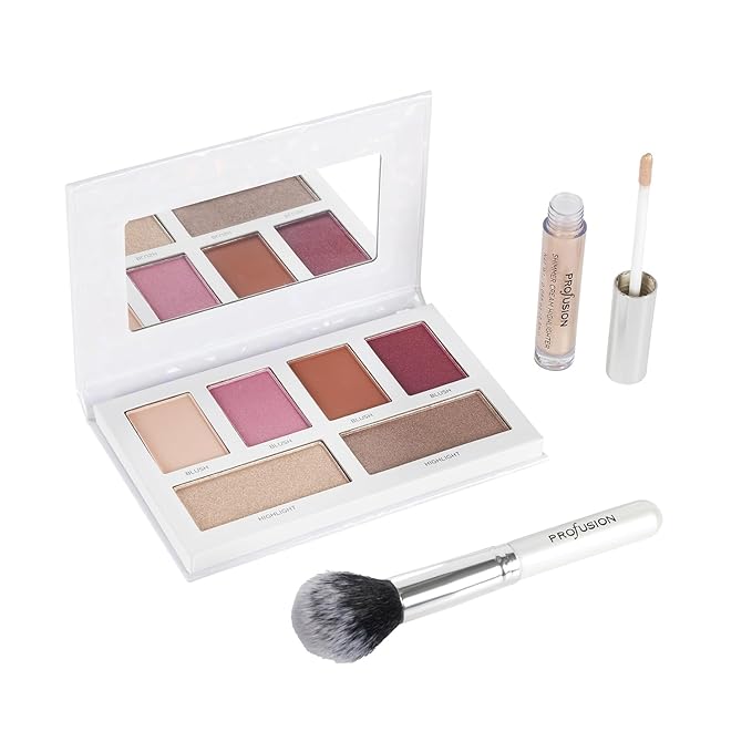 Profusion Cosmetics Beauty Box Blush and Highlight Collection, Includes 6 Blush and Highlight Shades, 1 Face Brush and Shimmer Cream Highlighter