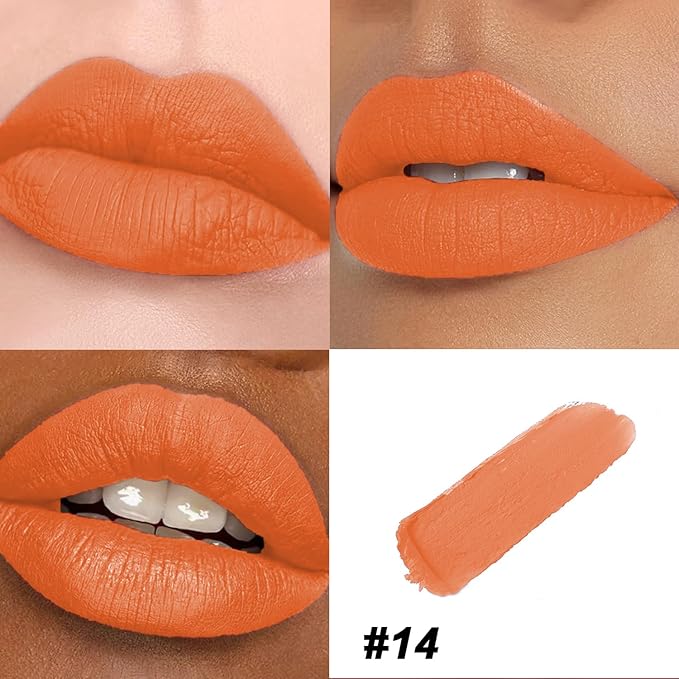 Matte Bullet Long Wear Lipstick - Vegan and Cruelty-Free - Smudge and Waterproof Matte Lipstick with Moisturizing Formula - All Day Comfort - (Tangerine Dream #14)