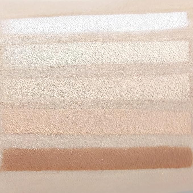 5 Color Powder Kit Face Makeup Corrector highlight Countour With White Powder Net 40g