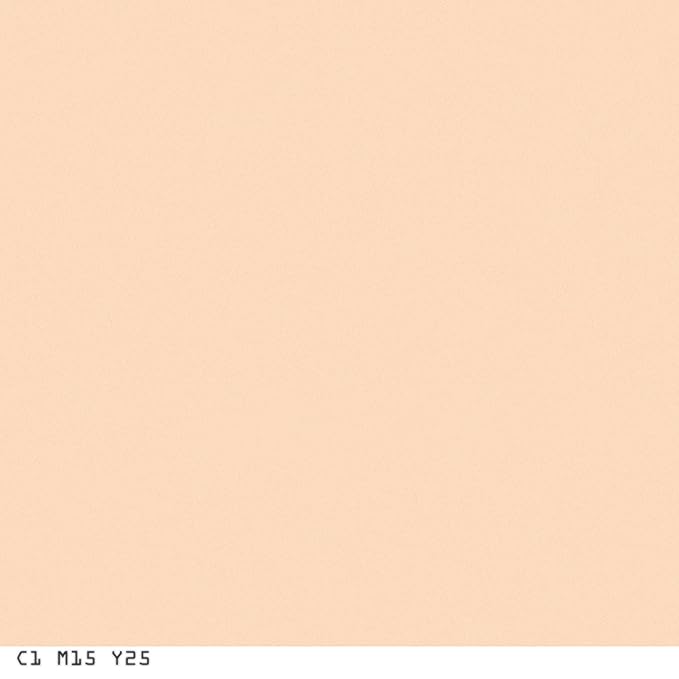 COVERGIRL Smoothers Pressed Powder Translucent Light.32 Ounce (packaging may vary) (Pack of 2)