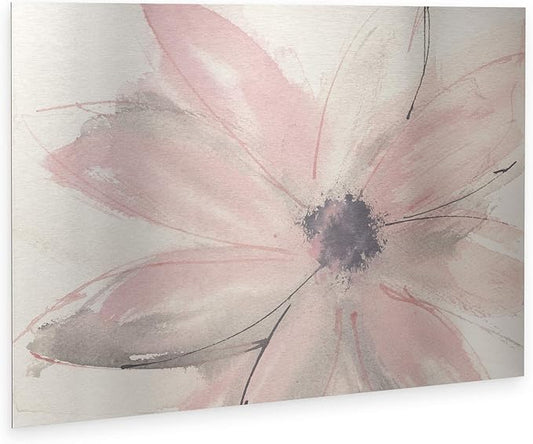 Trademark Fine Art ' Blush Clematis I ' Floating Brushed Aluminum Art by Chris Paschke 16x22