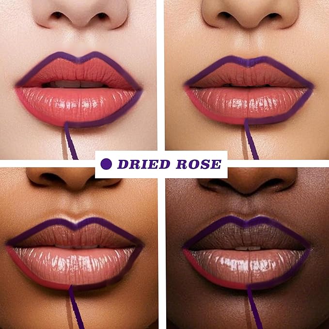 Lip Liner Stain, Long Lasting Peel Off Lip Stain, Waterproof & Transfer-Proof Matte Lip Tattoo, Easy to Use & Natural Finish (Dried Rose)