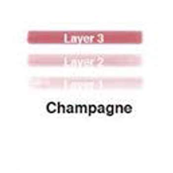 Lip Ink Liquid Trial Lip Kit - Champagne (Berry) | Natural & Organic Makeup for Women International | 100% Organic, Kosher, & Vegan