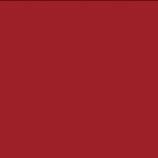 Palladio Retractable Waterproof Lip Liner High Pigmented and Creamy Color Slim Twist Up Smudge Proof Formula with Long Lasting All Day Wear No Sharpener Required, Red Rose