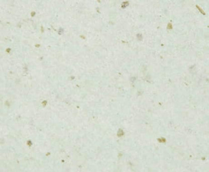 Cinnamoroll's Green Tea Extract Facial Oil Blotting Paper 150 Sheets - Officially Licensed - Packaged in Portable Casing