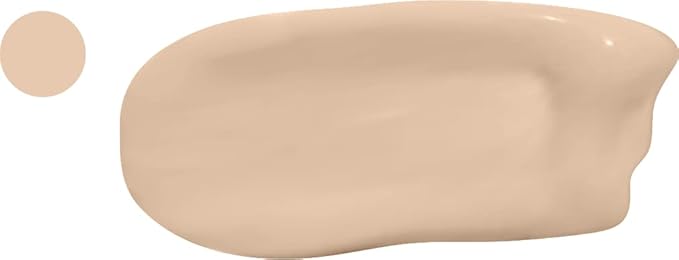 Prideful Undercover - Featherweight Concealer (Warner)