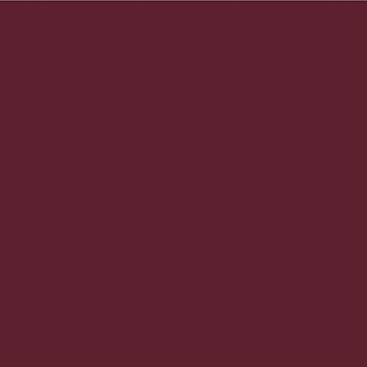 Palladio Retractable Waterproof Lip Liner High Pigmented and Creamy Color Slim Twist Up Smudge Proof Formula with Long Lasting All Day Wear No Sharpener Required, Raisin, 1 Count