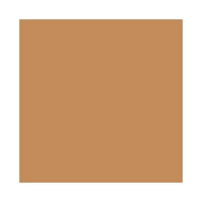 MAC Cosmetics Studio Fix Powder Plus Foundation NC55 NC55 0.52 oz/ 15 g