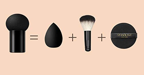 Magik Images Mushroom Head Air Cushion BB CC Cream Concealer Foundation Stick Moisturizing (Cushion BB, Ivory)