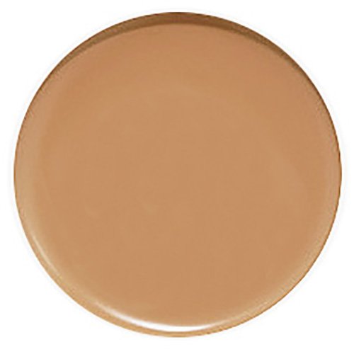 Luxury Oil Blotting Pressed Powder by Flori Roberts, Long Lasting Oil and Shine Control, Flawless Complexion for Women of Color or Deeper Skin Tones