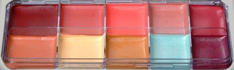 PPI Skin Illustrator Complexion Makeup Palette