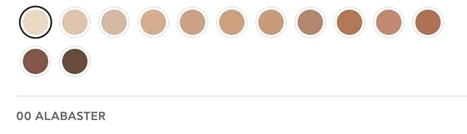 Radiant Professional Natural Fix All Day Matte Cream Foundation - Long Wear High Coverage Face Makeup Foundation With SPF 15 - Oil Free Matte Finish - For All Skin Types-1.01 oz. (00 Alabaster)