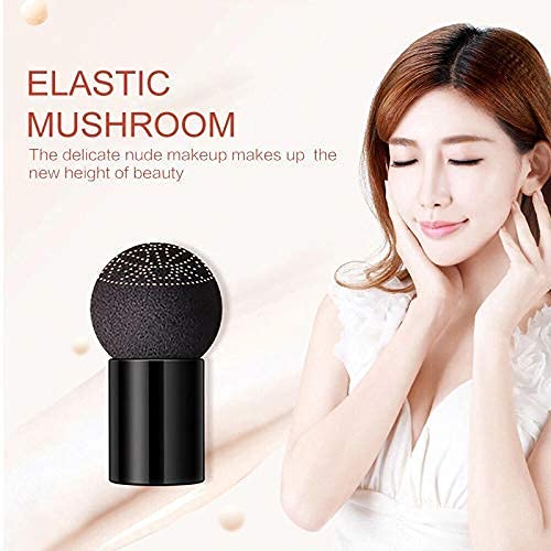 Sunisa 3 in 1 CC and BB Water Proof Foundation Concealer Cream with Air Cushion Mushroom