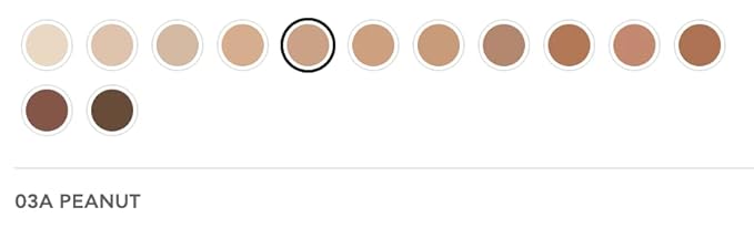 Radiant Professional Natural Fix All Day Matte Cream Foundation - Long Wear High Coverage Face Makeup Foundation With SPF 15 - Oil Free Matte Finish - For All Skin Types-1.01 oz. (3A Peanut)