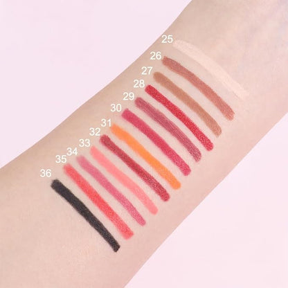 12 Pcs Natural Nude Brown Beige Colors Lip Liner Lipstick Pencils Set for Daily Makeup,Easy to Apply & Remove,Waterproof (set11)