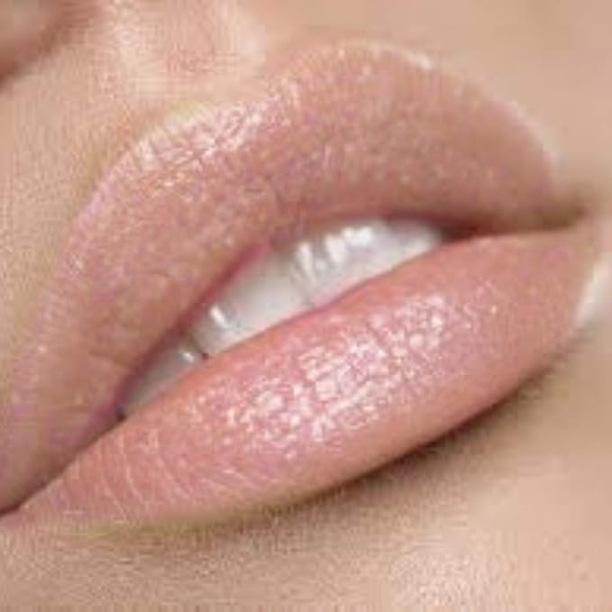 Premium Nude Lip Gloss | Unashamed…