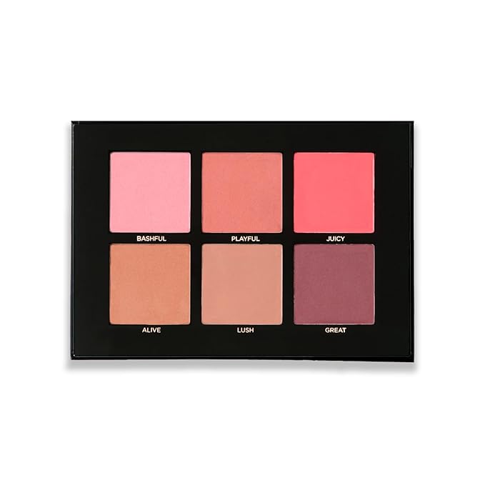 Profusion Cosmetics Blush- 6 color blush palette (Pack of 1)