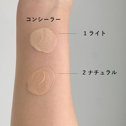 Concealer SPF18/PA++ Chip Type 6g - 1 Light