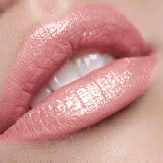 Premium Pink Lip Gloss | Blushing Bride…