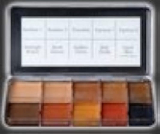 PPI Skin Illustrator Dark Fleshtone Makeup Palette Profession Stage Makeup
