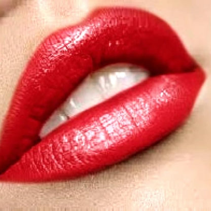 Premium Retro Red Lip Gloss | New Lip Plumping Formula | Perfect Texture, Coverage and Shine | R U Reddy?…