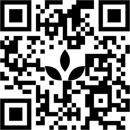 Korica Beauty Papers | Premium Facial Oil Blotting Papers from Natural Abica Tree Fibers