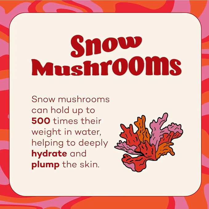 Axiology Fungdation Mushroom Foundation Face Makeup Creamy Wrinkle Defying Minimize Fine Lines Infused with Reishi Deep Hydration Natural Youthful Look Light to Medium Coverage 11.3g (Shade 9)