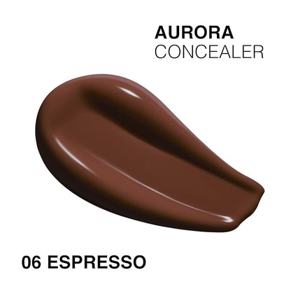 Liquid Foundation & Under Eye Concealer - Make Up Set for Flawless Dark Skin Base - Matte Foundation (Truffle) and Liquid Concealer (Espresso)