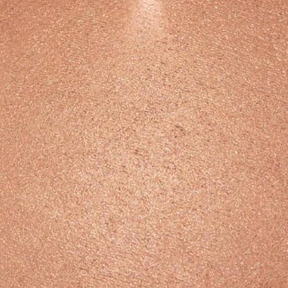 Palladio Baked Bronzer, Highly Pigmented and Easy to Blend, Shimmery Bronzed Glow, Use Dry or Wet, Lasts all day long, Provides Rich Tanning Color Finish, Powder Compact, Pacific Tan