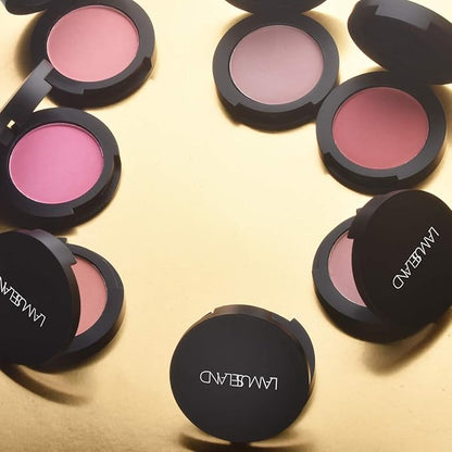 LAMUSELAND 8 Colors Soft Velvet Blush Matt Lasting Blusher (B06 TORRID)