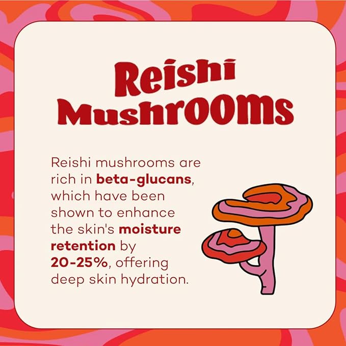 Axiology Fungdation Mushroom Foundation Face Makeup Creamy Wrinkle Defying Minimize Fine Lines Infused with Reishi Deep Hydration Natural Youthful Look Light to Medium Coverage 11.3g (Shade 9)