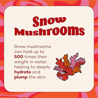 Axiology Fungdation Mushroom Foundation Face Makeup Creamy Wrinkle Defying Minimize Fine Lines Infused with Reishi Deep Hydration Natural Youthful Look Light to Medium Coverage 11.3g (Shade 2)