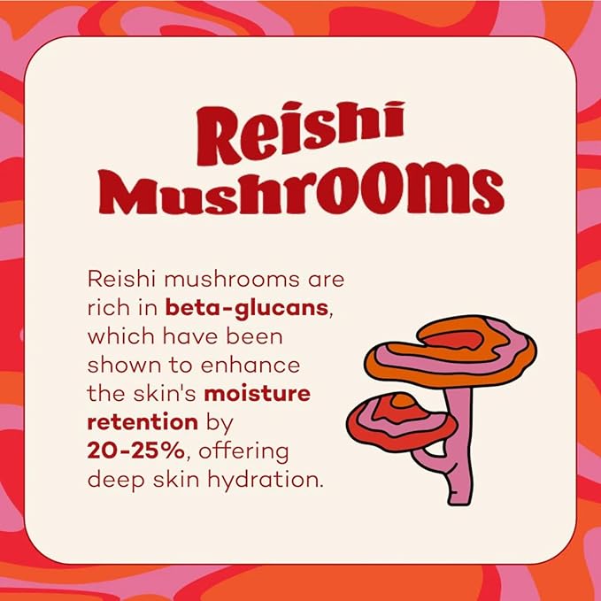 Axiology Fungdation Mushroom Foundation Face Makeup Creamy Wrinkle Defying Minimize Fine Lines Infused with Reishi Deep Hydration Natural Youthful Look Light to Medium Coverage 11.3g (Shade 2)