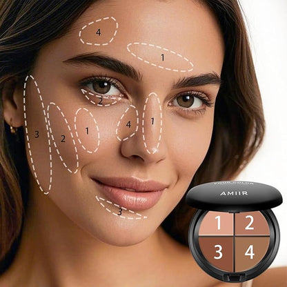 AMIIR Color Correcting Concealer Cream Full Coverage Professional Makeup Palette Flawless Face Contour, Medium to Dark