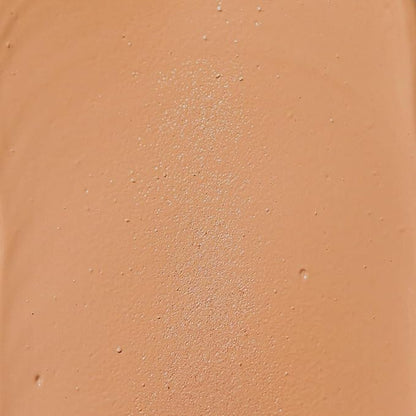 Palladio Full-Coverage Color Correction CC Cream, Oil-Free with Peptides & Vitamin C, Best for Correcting Redness and Uneven Skin Tone, Buildable Foundation Coverage (Med 31C)