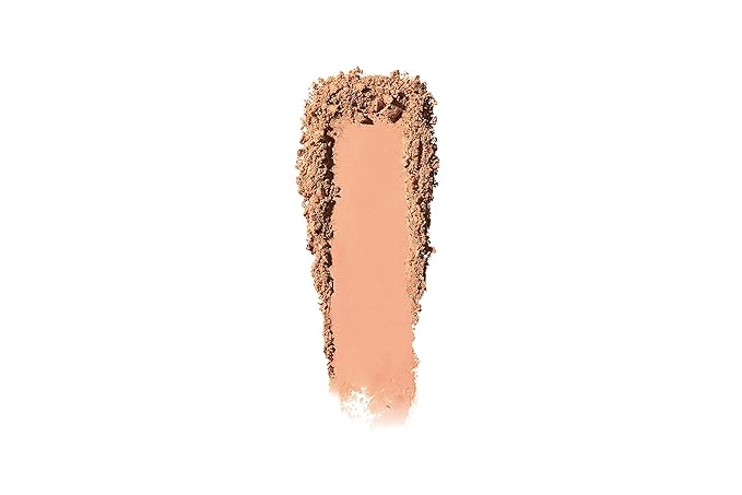 [Too Cool for School] Artclass by Rodin Blusher De Ginger 8.7g (0.3 oz)