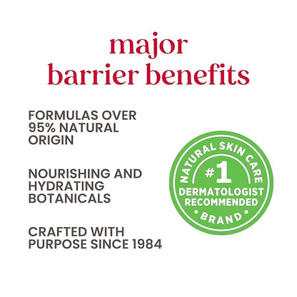 Burt's Bees 100% Natural Moisturizing Lip Gloss, Summer Twilight - 1 Tube (Pack of 2)